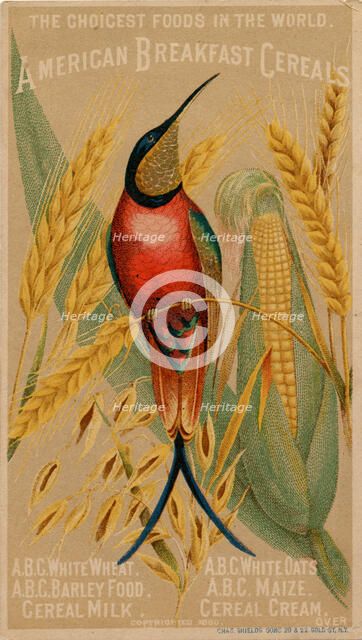 American Breakfast Cereals, 19th century. Artist: Unknown