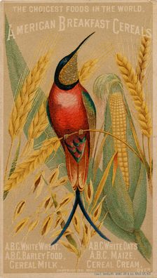 American Breakfast Cereals, 19th century