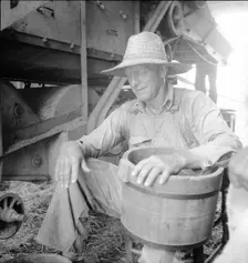 American farmer near Durham, North Carolina, 1936. Creator: Dorothea Lange