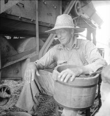 American farmer near Durham, North Carolina, 1936. Creator: Dorothea Lange