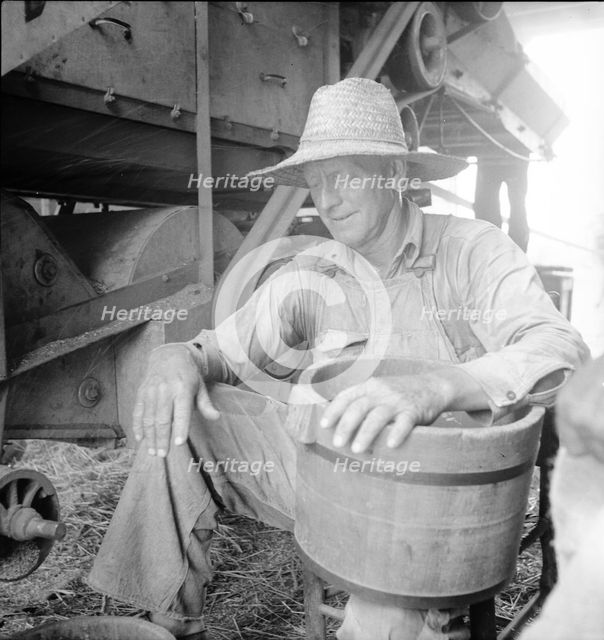 American farmer near Durham, North Carolina, 1936. Creator: Dorothea Lange.