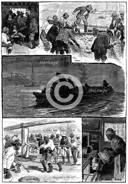 American Fisheries: shad-fishing on the Delaware, 1883. Creator: T. S. Bayley.