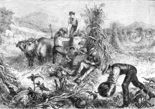 American Harvest Home, 1881. Creator: Unknown