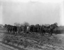 American Indian and African American students at Hampton Institute, Hampton, Va. 1900(?) Creator: Frances Benjamin Johnston