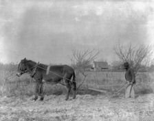 American Indian and African American students at Hampton Institute, Hampton, Va. 1900(?) Creator: Frances Benjamin Johnston
