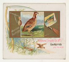 American Partridge, from the Game Birds series (N40) for Allen & Ginter Cigarettes, 1888-90. Creator: Allen & Ginter
