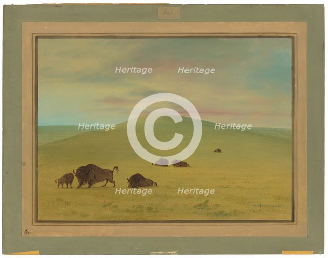 American Pasturage - Prairies of the Platte, 1861/1869. Creator: George Catlin.