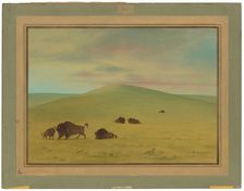American Pasturage - Prairies of the Platte, 1861/1869. Creator: George Catlin