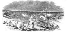 American prairie on fire, 1844. Creator: Unknown