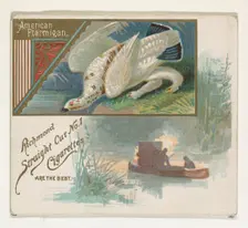 American Ptarmigan, from the Game Birds series (N40) for Allen & Ginter Cigarettes, 1888-90. Creator: Allen & Ginter
