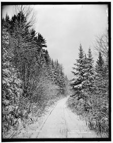 Ammonoosuc turnpike, winter, White Mountains, c1900. Creator: Unknown