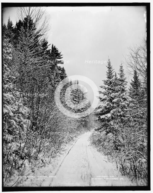 Ammonoosuc turnpike, winter, White Mountains, c1900. Creator: Unknown.