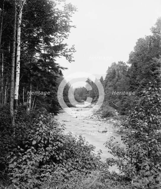 Ammonoosuc and Mt. Clay, Mt. Pleasant Farm, White Mountains, The, between 1900 and 1906. Creator: Unknown.