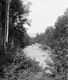 Ammonoosuc and Mt. Clay, Mt. Pleasant Farm, White Mountains, The, between 1900 and 1906. Creator: Unknown