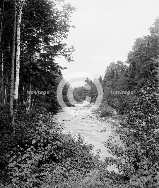 Ammonoosuc and Mt. Clay, Mt. Pleasant Farm, White Mountains, The, between 1900 and 1906. Creator: Unknown.
