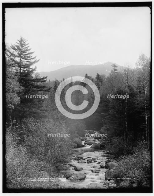 Ammonoosuc River and Mount Monroe, Mount Pleasant farm, White Mountains, between 1890 and 1901. Creator: Unknown.