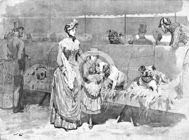 'Among the Bulldogs at the Kennel Club Show', 1886.  Creator: Unknown.