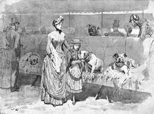 Among the Bulldogs at the Kennel Club Show 1886. Creator: Unknown