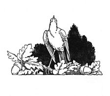 Among the Branches Dwelt a Nightingale c1930. Artist: W Heath Robinson