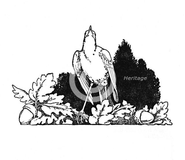 'Among the Branches Dwelt a Nightingale', c1930. Artist: W Heath Robinson.