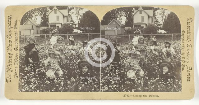 Among the Daisies, 1897. Creator: T.D. Rust.