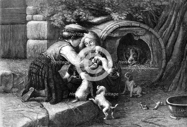 "Amongst the Pets," by J. W. Bottomley, in the Royal Academy exhibition, 1870. Creator: William Hollidge.