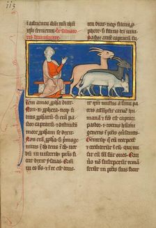 Amos and Three Goats; De Natura Avium; De Pastoribus et Ovibus, 1277 or after. Creator: Unknown