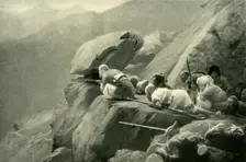 An Ambuscade (1901). Creator: Unknown