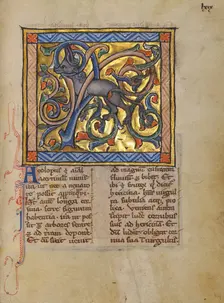 An Antelope with its Horns Entangled in a Bush; Bestiary, about 1270. Creator: Unknown