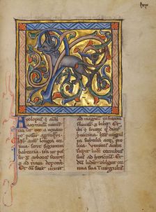 An Antelope with its Horns Entangled in a Bush; Bestiary, about 1270. Creator: Unknown