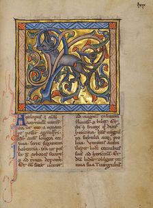 An Antelope with its Horns Entangled in a Bush; Bestiary, about 1270. Creator: Unknown