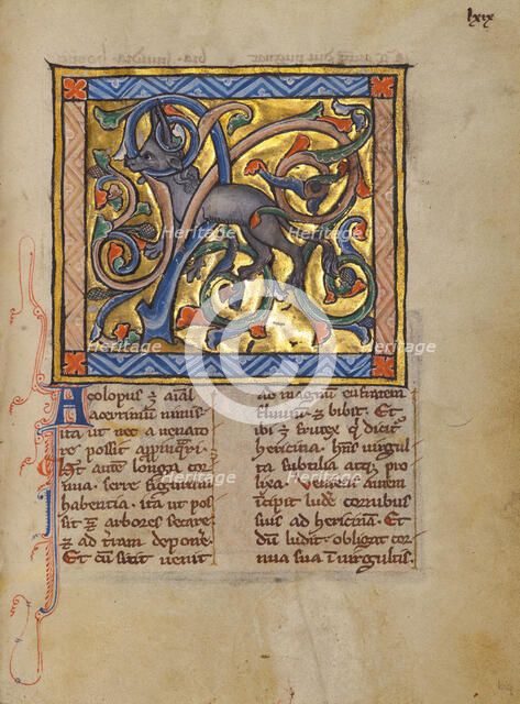 An Antelope with its Horns Entangled in a Bush; Bestiary, about 1270. Creator: Unknown.