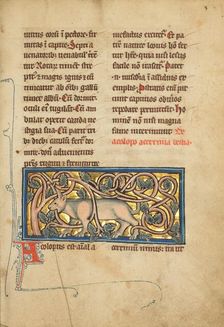 An Antelope with its Horns Entangled in a Bush; De Natura Avium, 1277 or after. Creator: Unknown