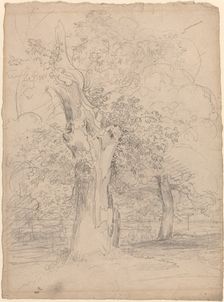 An Ancient Tree with Figures in a Landscape, c. 1835. Creator: Friedrich Salathe