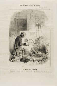 An Animal Hospital (plate 20), 1843. Creator: Charles Emile Jacque