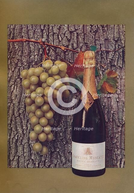 'An advertisement for Sparkling Muscatel', c1908. Artist: John Swain & Son.