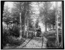 An Adirondack hand cart carry, c1902. Creator: William H. Jackson