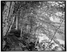 An Adirondack mountain path, c1902. Creator: William H. Jackson