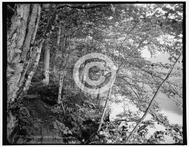 An Adirondack mountain path, c1902. Creator: William H. Jackson.