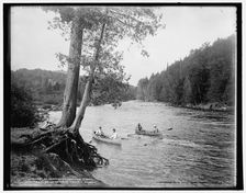 An Adirondack mountain stream, c1902. Creator: William H. Jackson