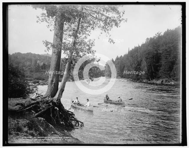 An Adirondack mountain stream, c1902. Creator: William H. Jackson.