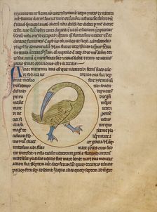An Alcior; Northumberland Bestiary, about 1250-1260. Creator: Unknown