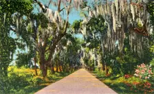 An Alluring Highway Scene in the Carolinas 1942. Creator: Unknown