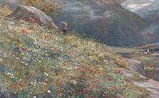 An Alpine Meadow late 19th-early 20th century. Creator: John MacWhirter