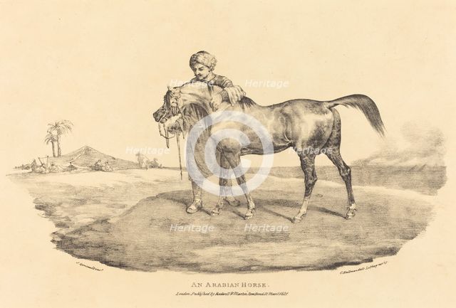 An Arabian Horse, 1821. Creator: Theodore Gericault.