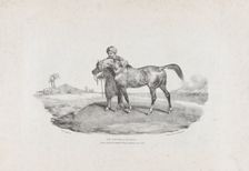 An Arabian Horse, 1821. Creators: Theodore Gericault, Charles Joseph Hullmandel