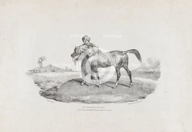 An Arabian Horse, 1821. Creators: Theodore Gericault, Charles Joseph Hullmandel.