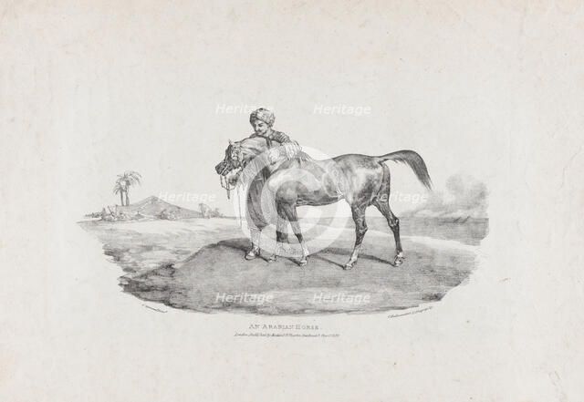 An Arabian Horse, 1821. Creators: Theodore Gericault, Charles Joseph Hullmandel.
