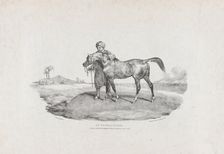 An Arabian Horse, 1821. Creators: Theodore Gericault, Charles Joseph Hullmandel