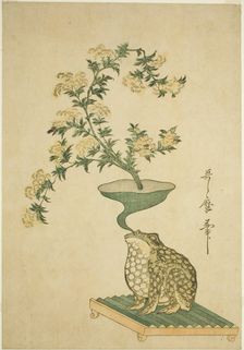 An Arrangement of Valerian (Ominaeshi) and Chinese Bell Flowers (Kikyo), Japan, c. 1796. Creator: Kitagawa Utamaro